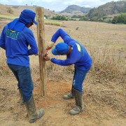 Construção e manutenção de cercas